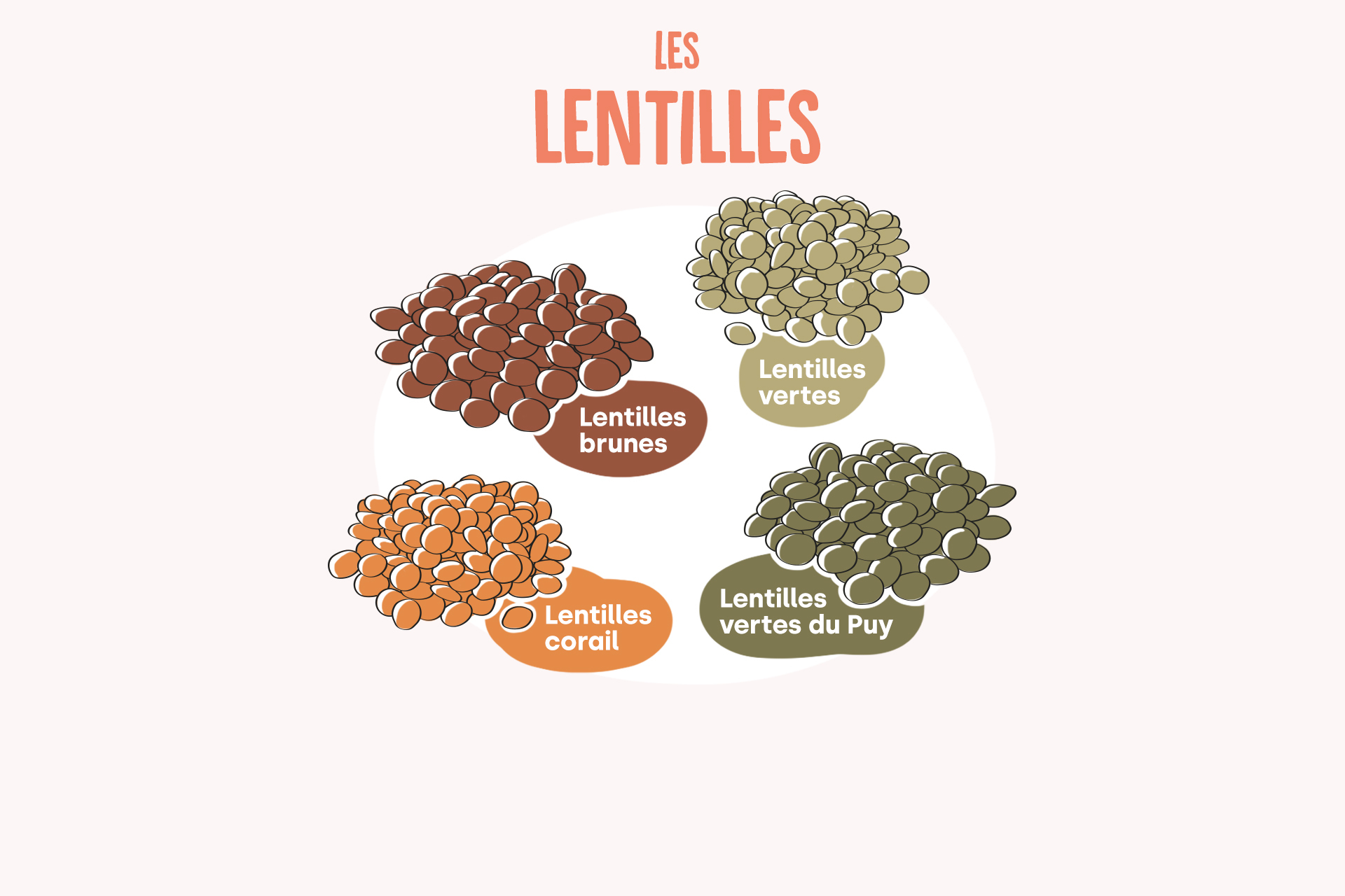 Lentille verte ou lentille corail ? Laquelle choisir ?