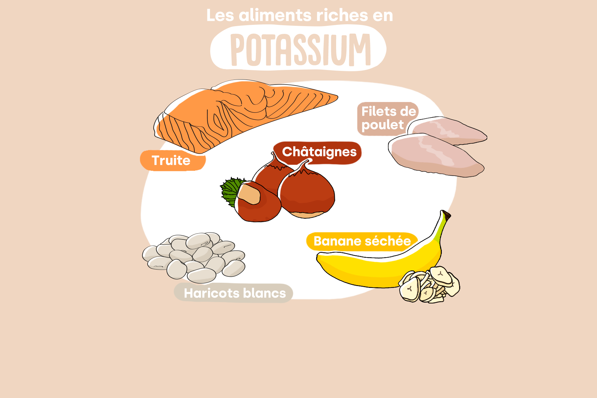 Potassium : quelles sont ses vertus santé ? - Conseils santé bien-être