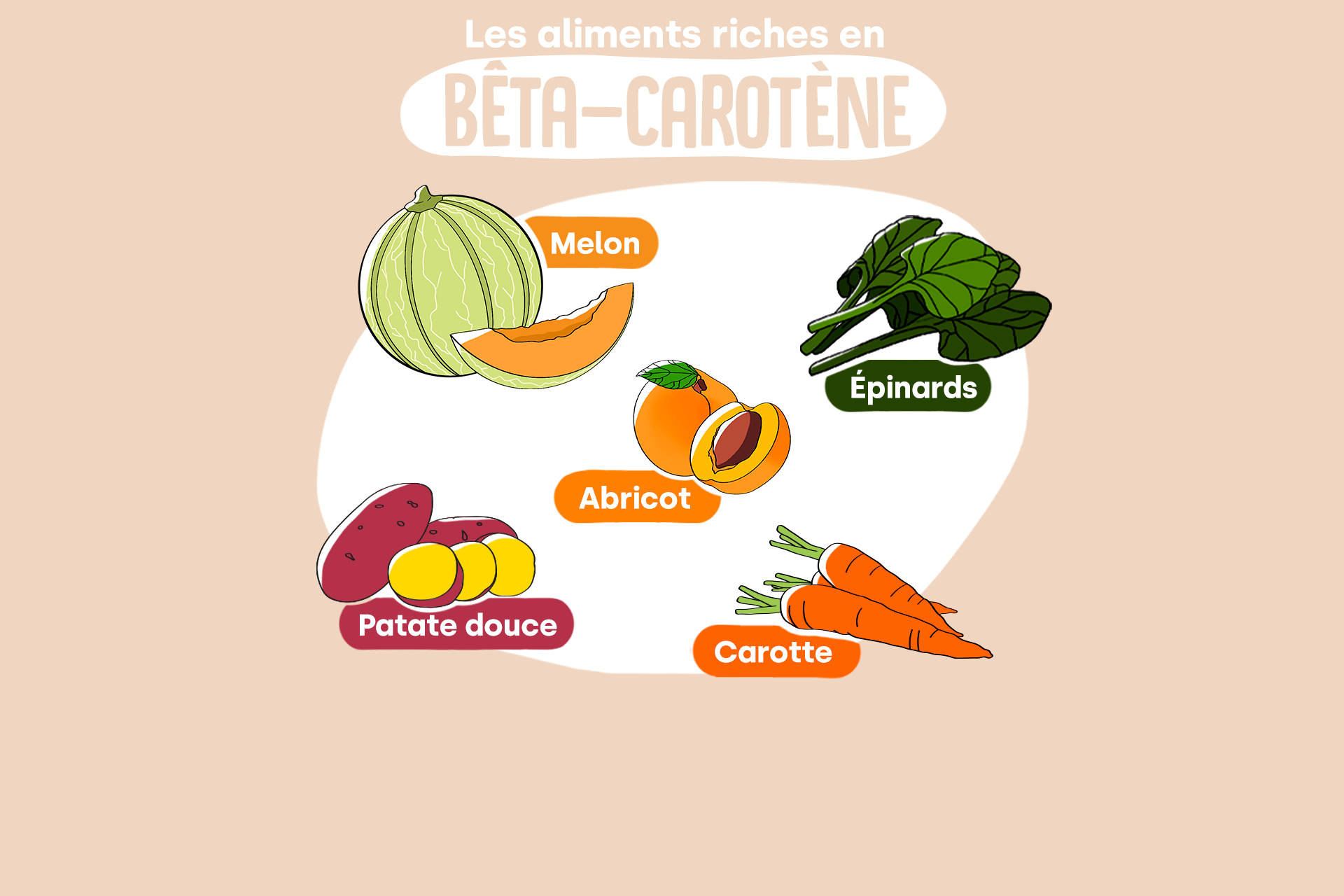 La carotte, une vraie bête à carotène ! - nutriting